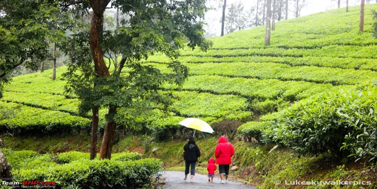 COORG