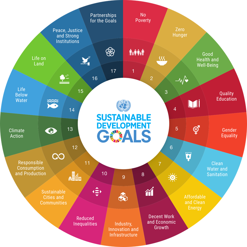 SDG Wheel